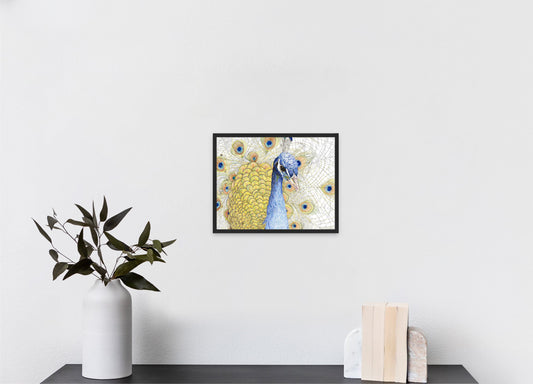 The Peacock (11"x14" framed print)