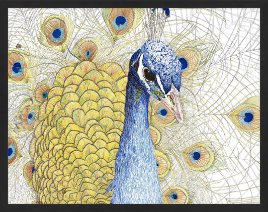The Peacock (11"x14" framed print)