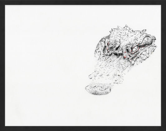 The Gator (11"x14" framed print)